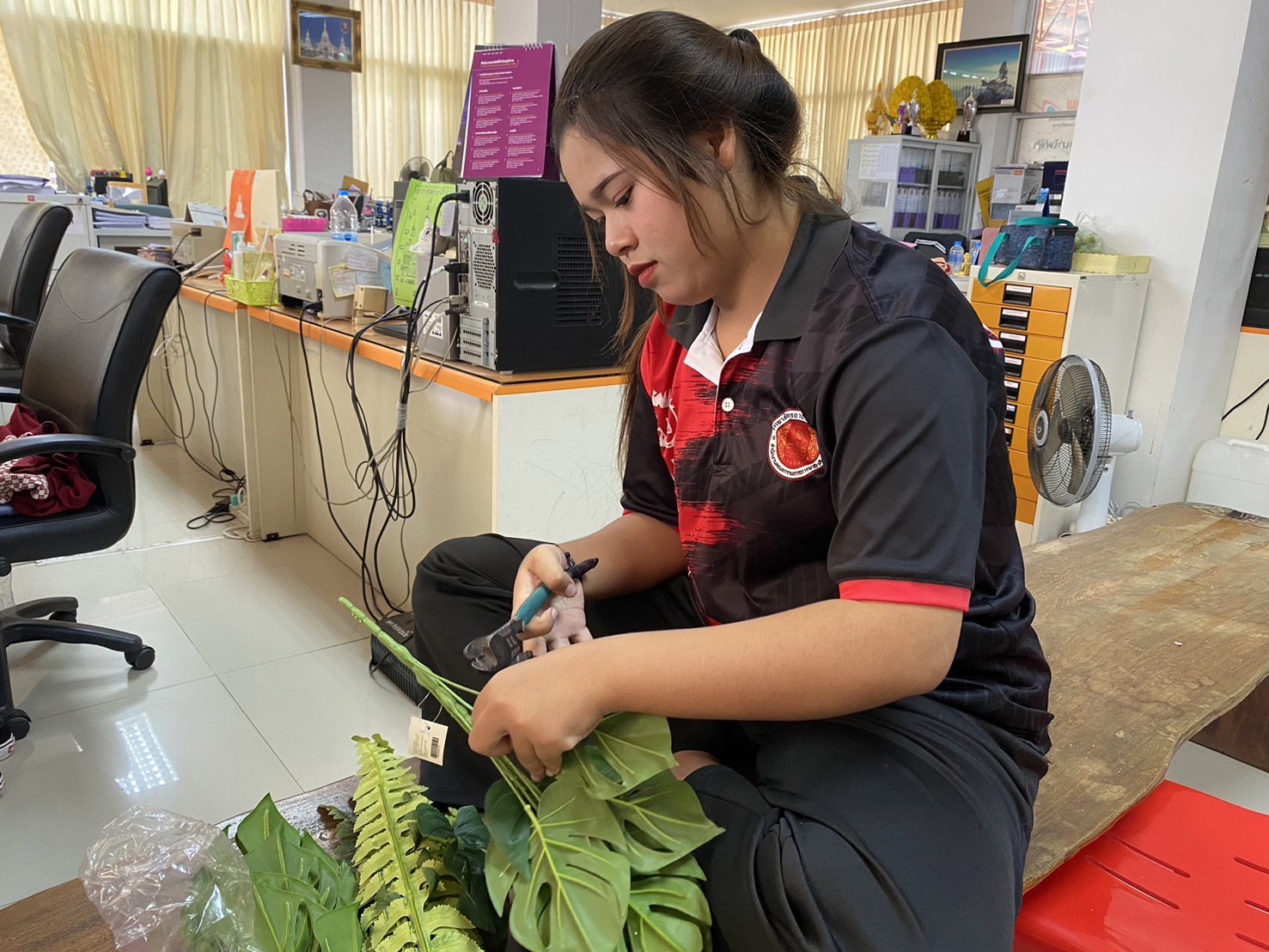 รูปภาพประกอบ 1