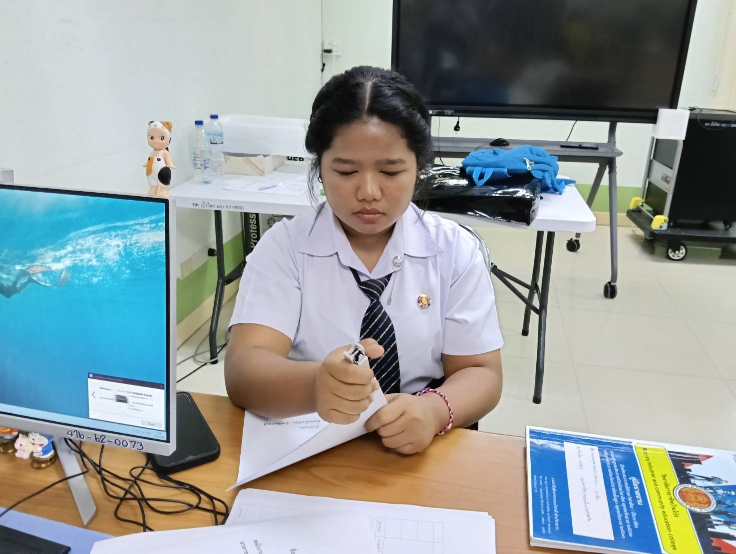 รูปภาพประกอบ 1