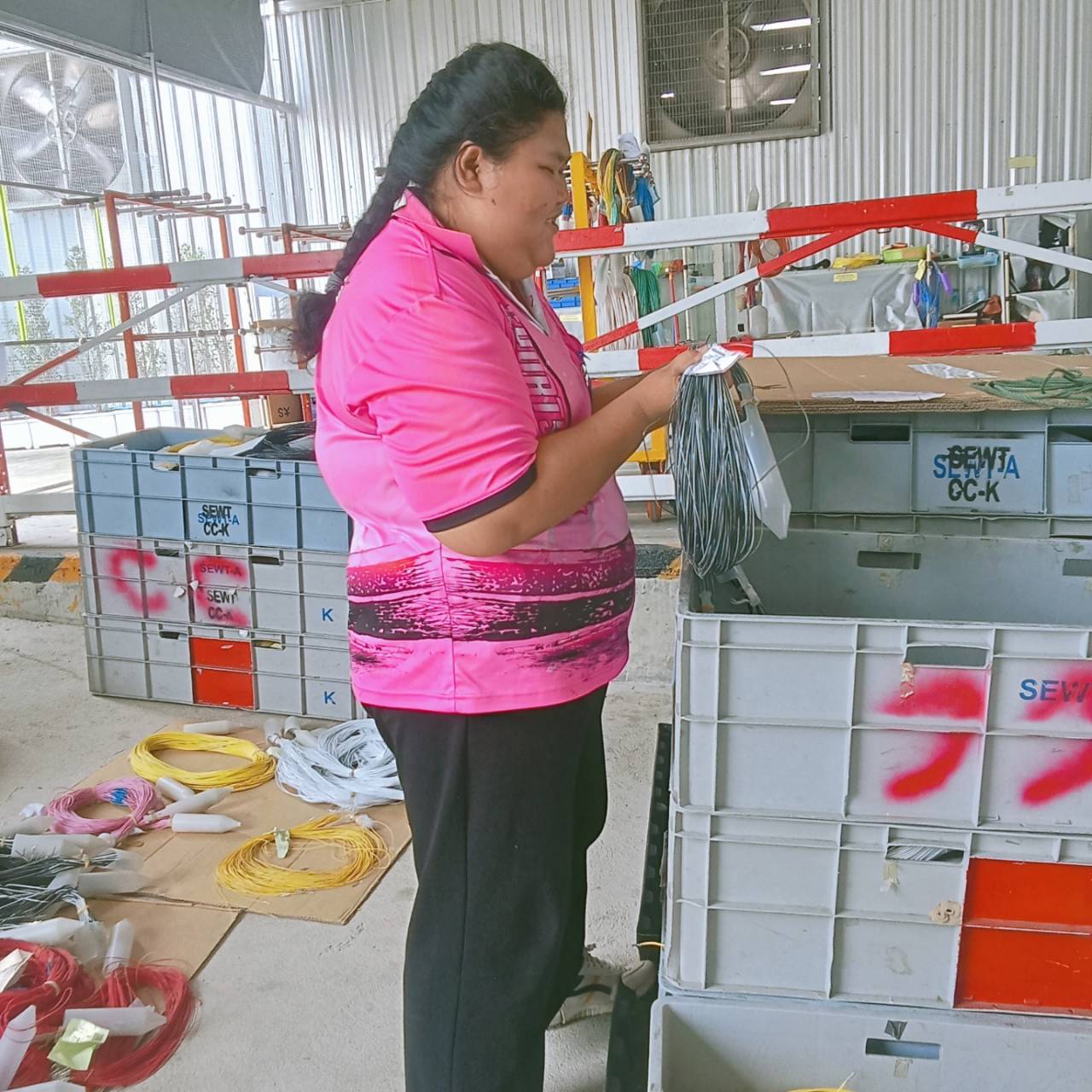 รูปภาพประกอบ 2