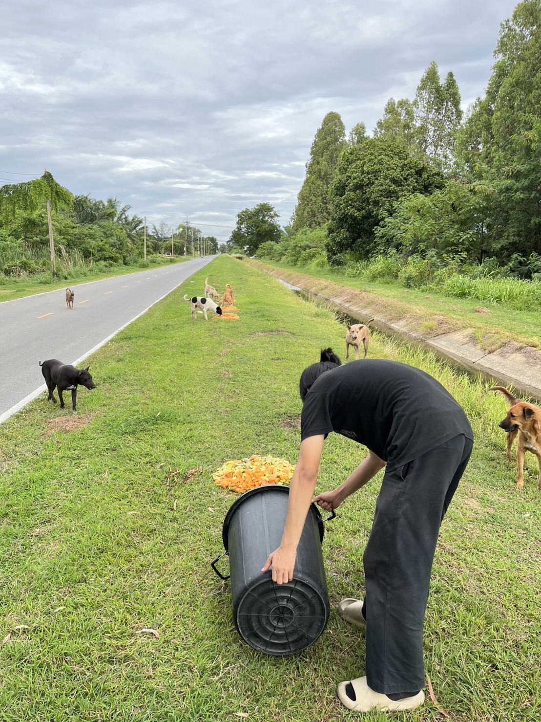 รูปภาพประกอบ 1