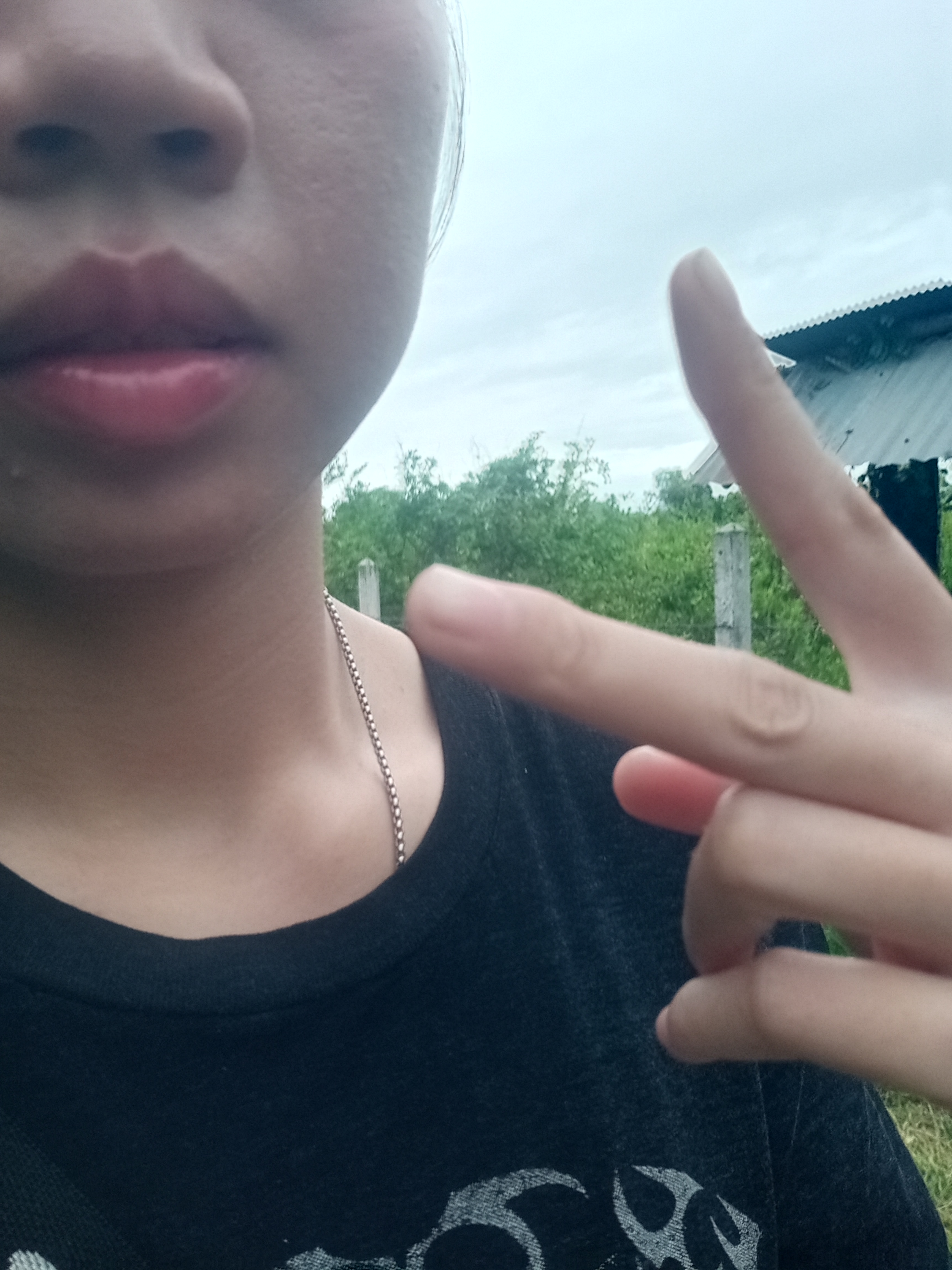 รูปภาพประกอบ 1