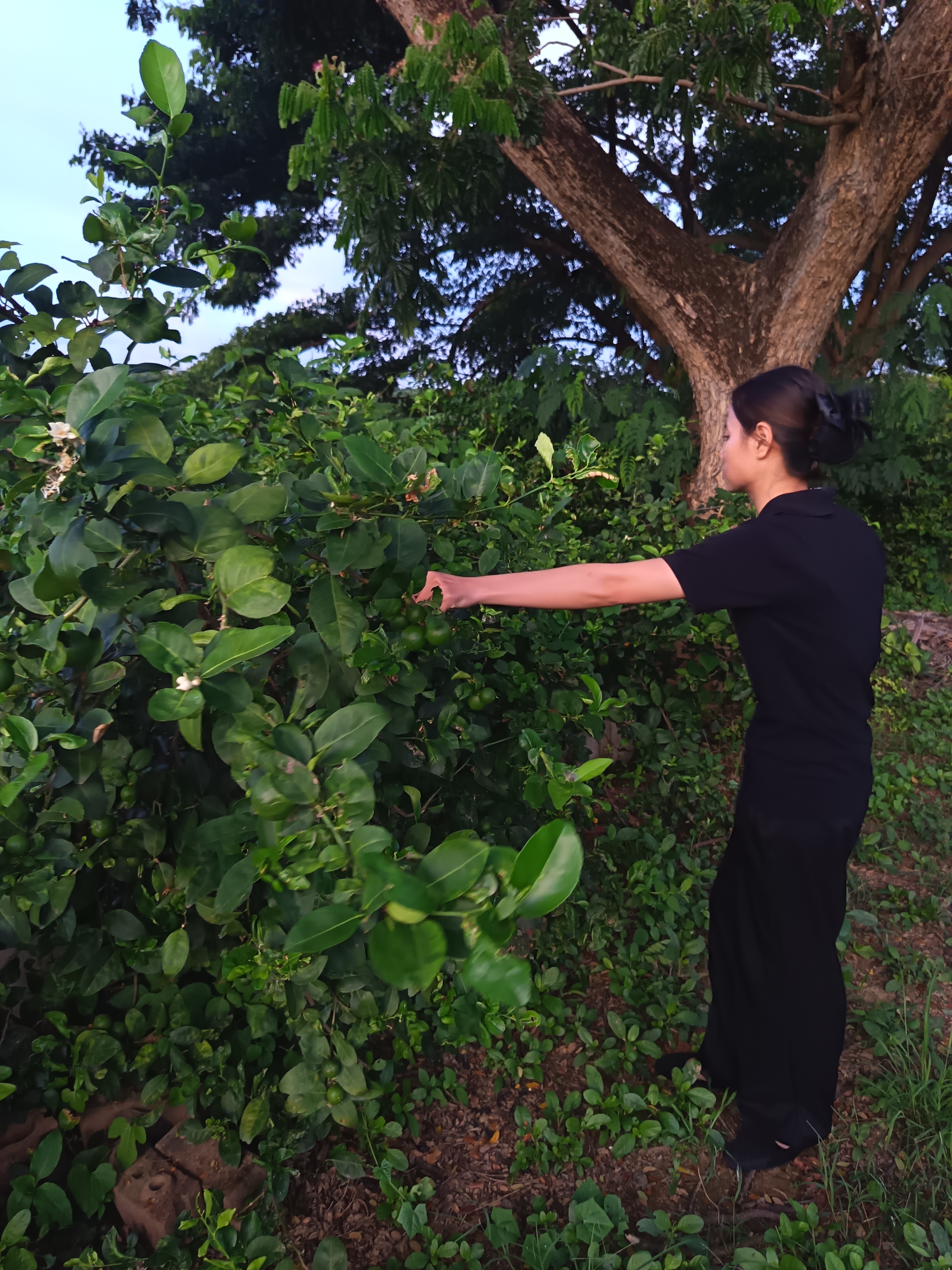 รูปภาพประกอบ 1