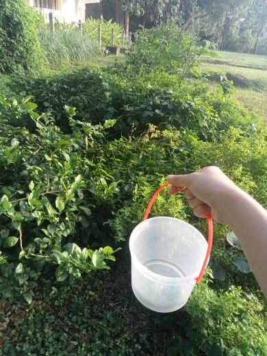 รูปภาพประกอบ 1