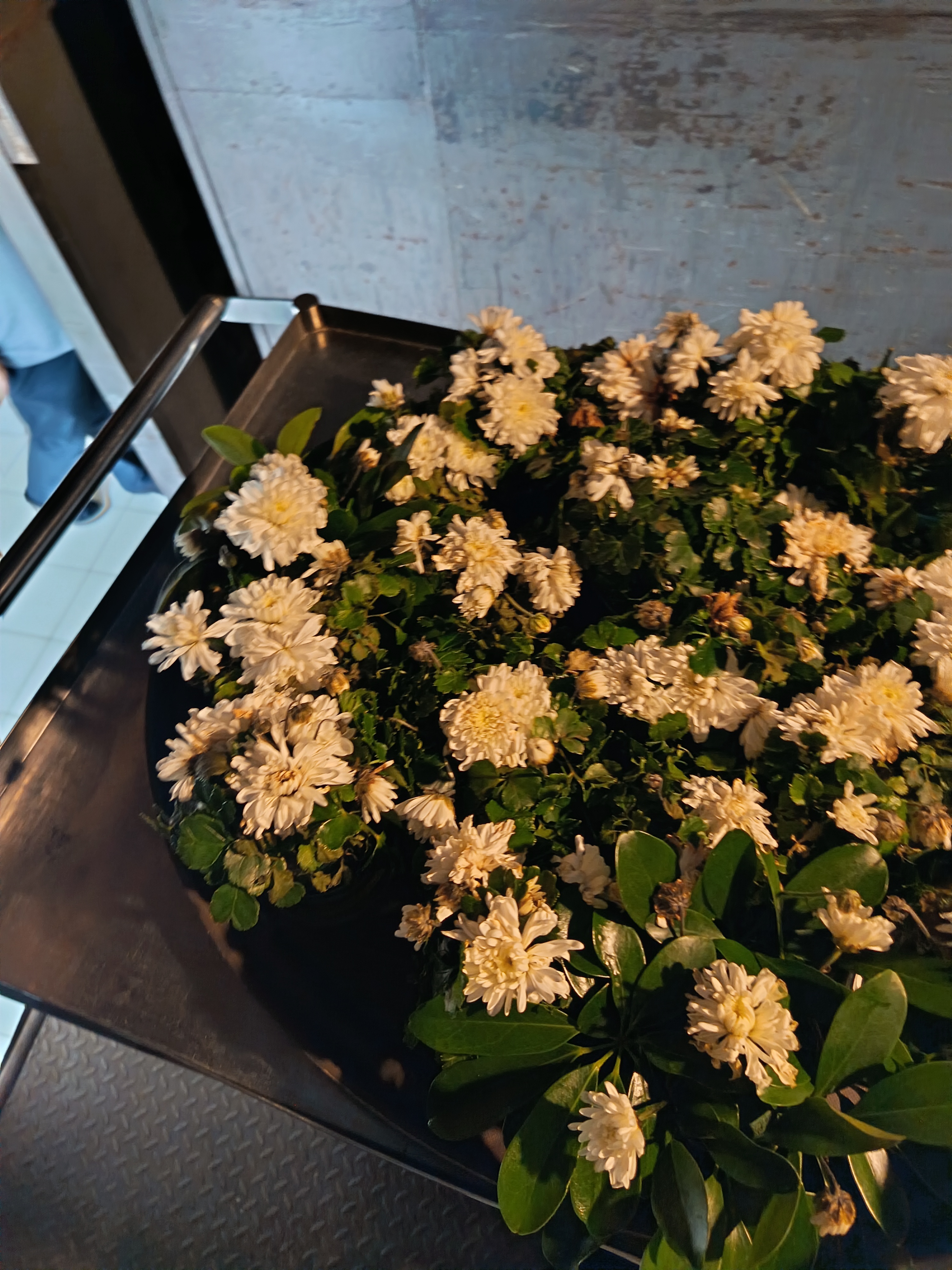 รูปภาพประกอบ 2