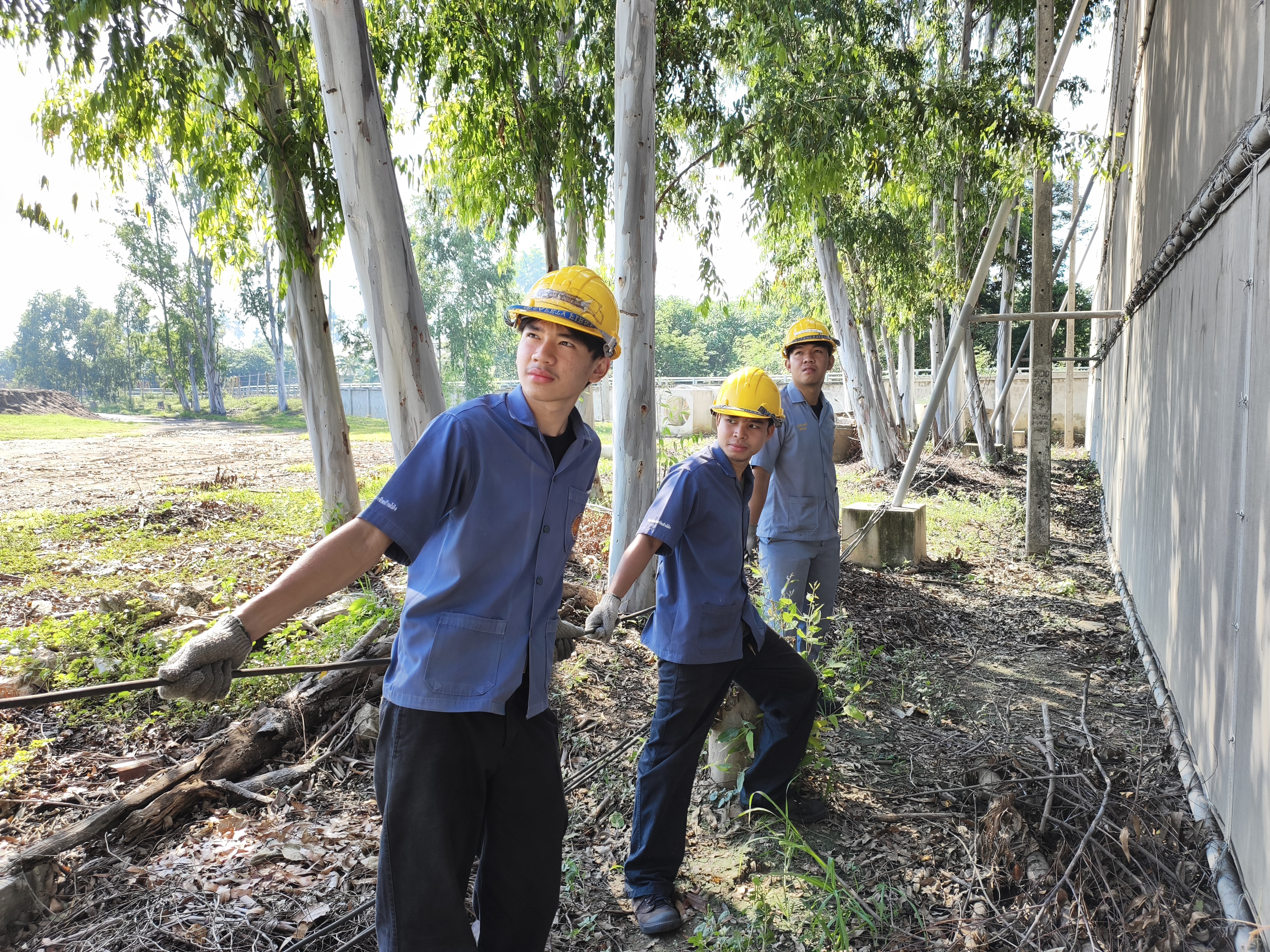 รูปภาพประกอบ 1