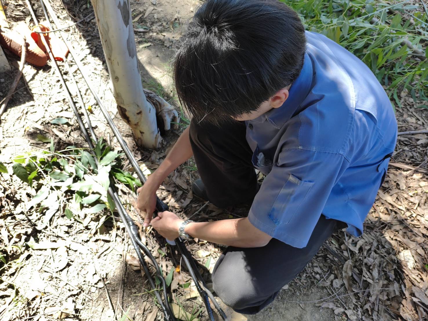 รูปภาพประกอบ 1