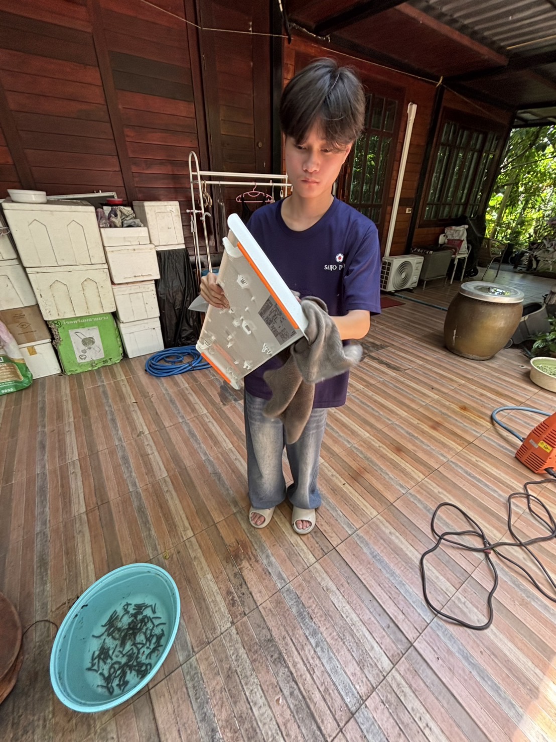 รูปภาพประกอบ 2