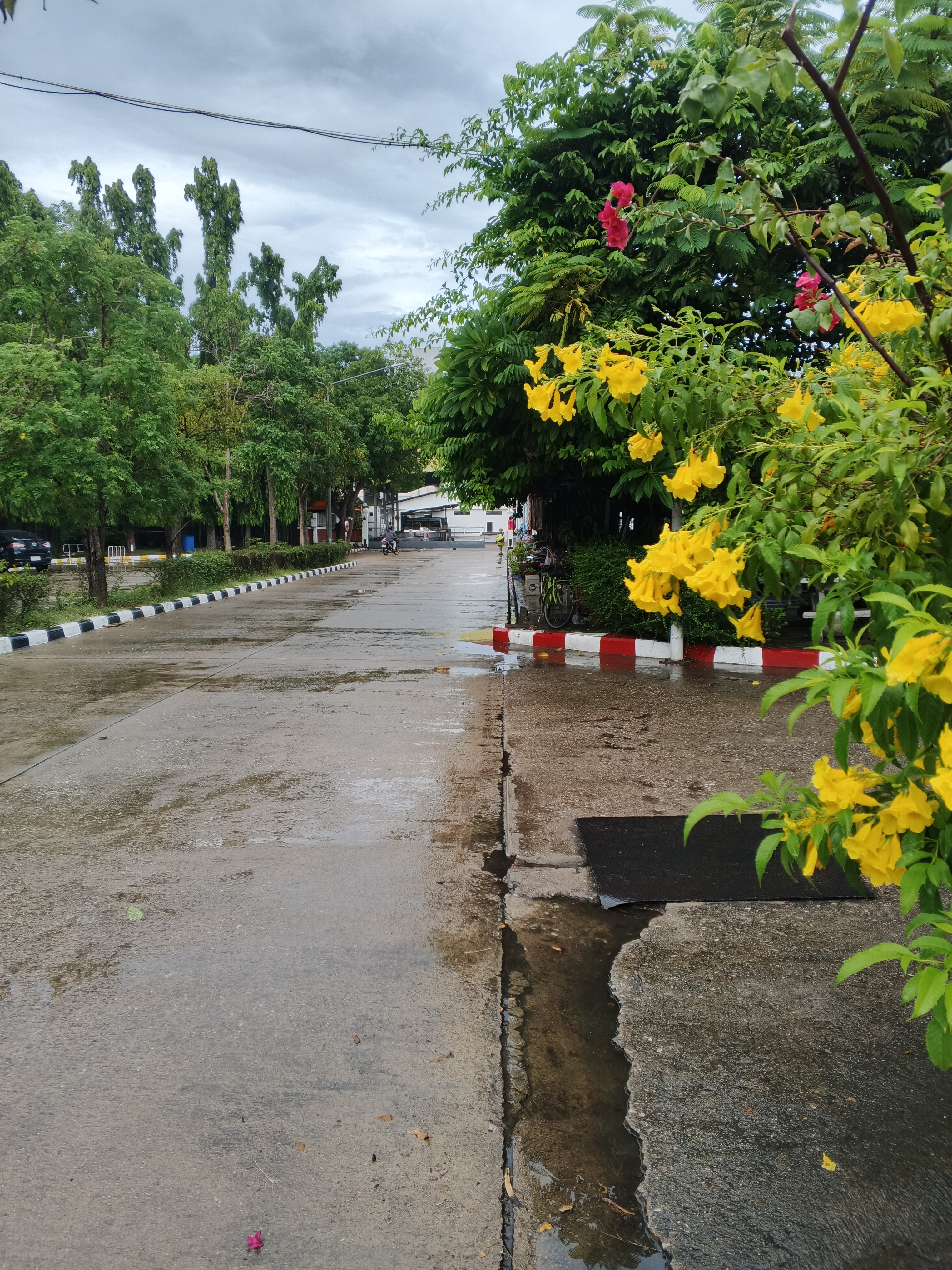 รูปภาพประกอบ 1