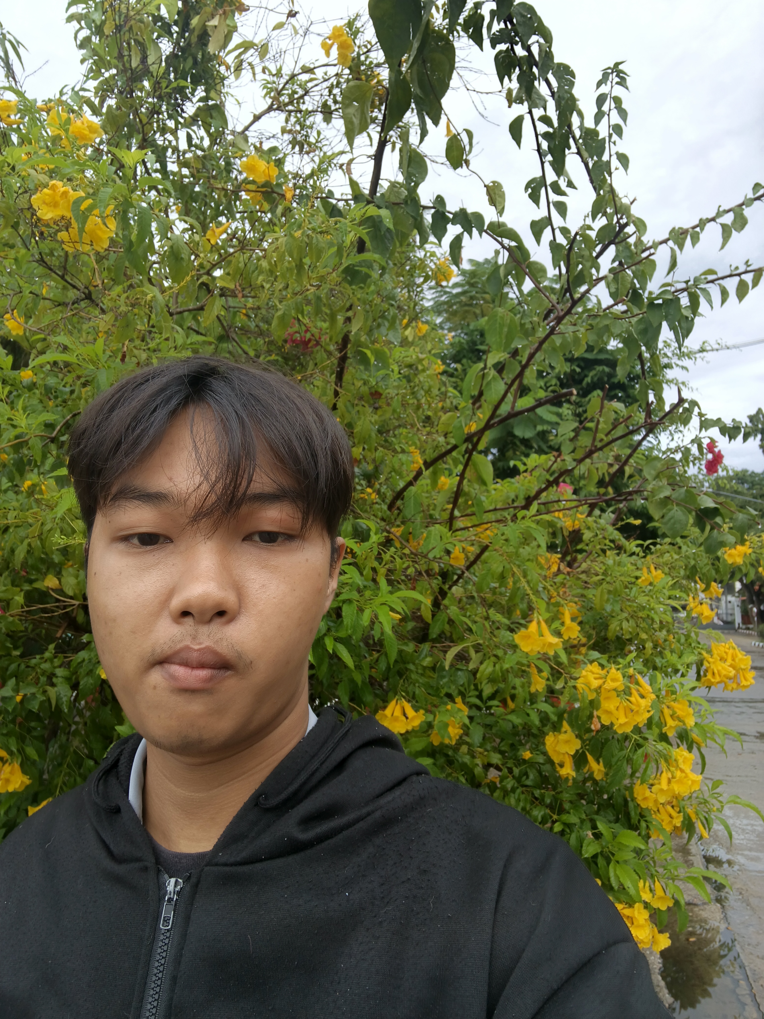 รูปภาพประกอบ 2
