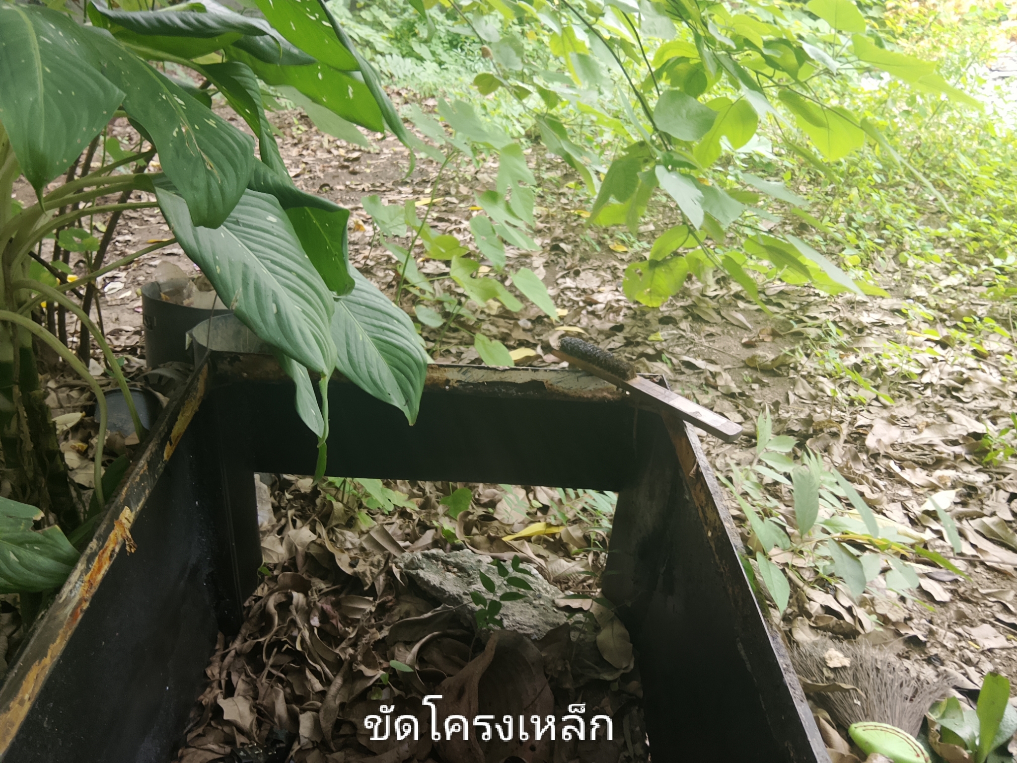 รูปภาพประกอบ 1