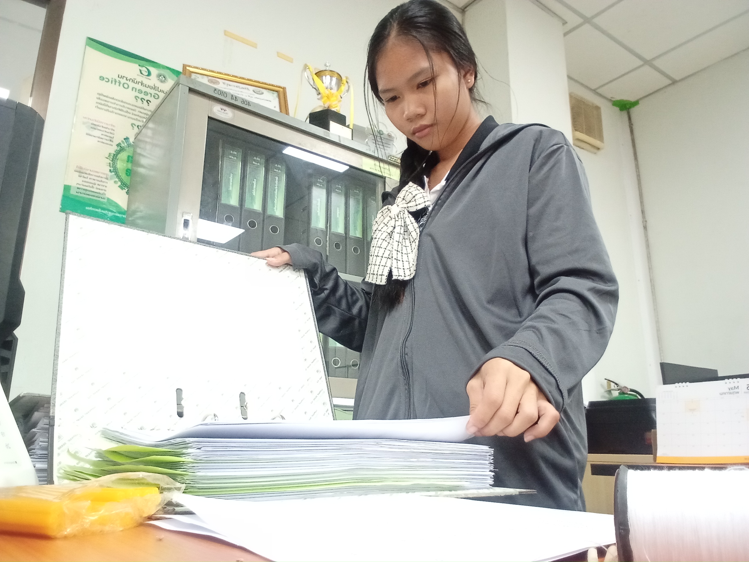 รูปภาพประกอบ 1