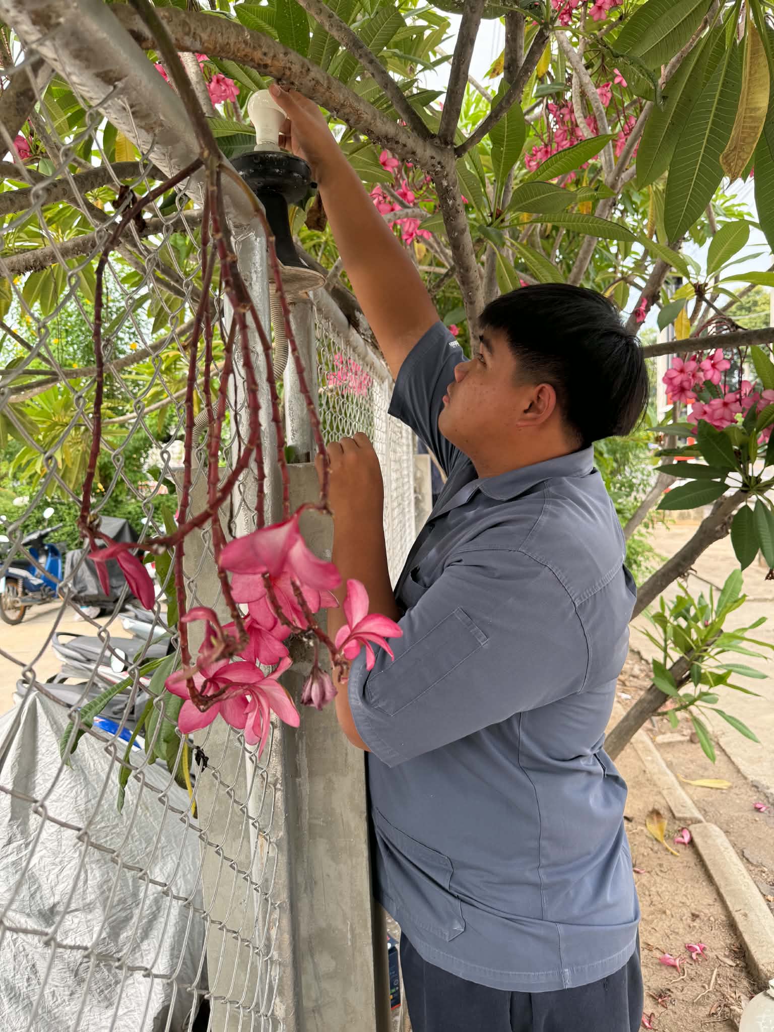 รูปภาพประกอบ 2
