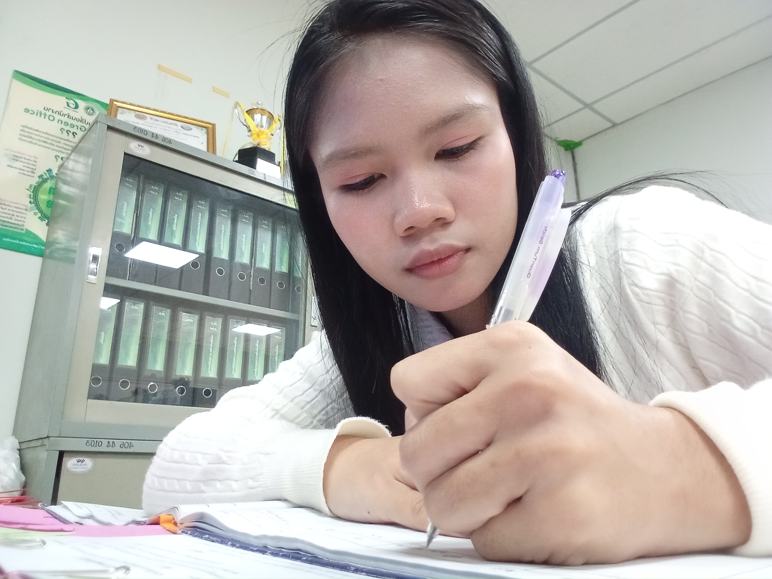 รูปภาพประกอบ 1
