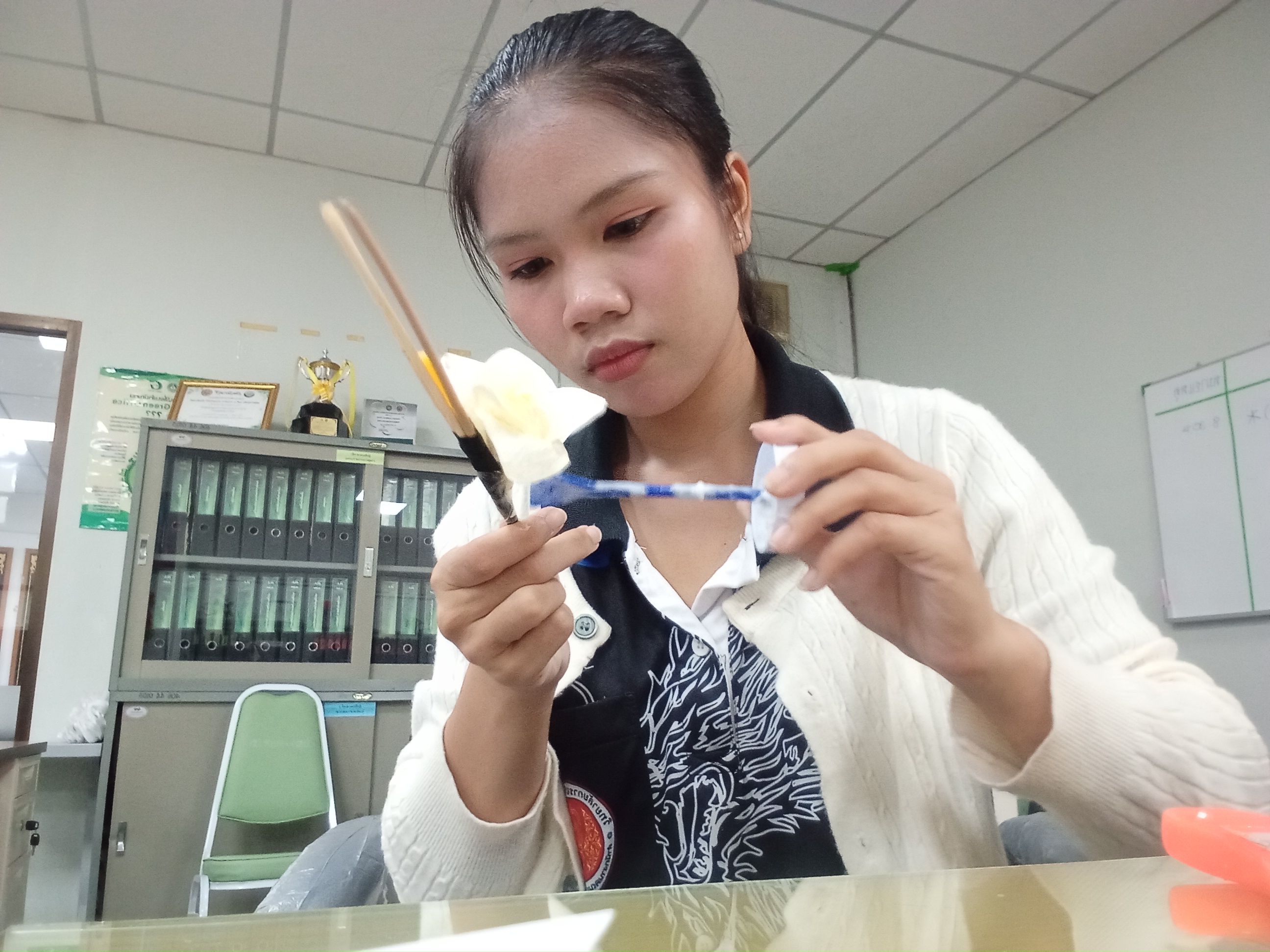 รูปภาพประกอบ 2