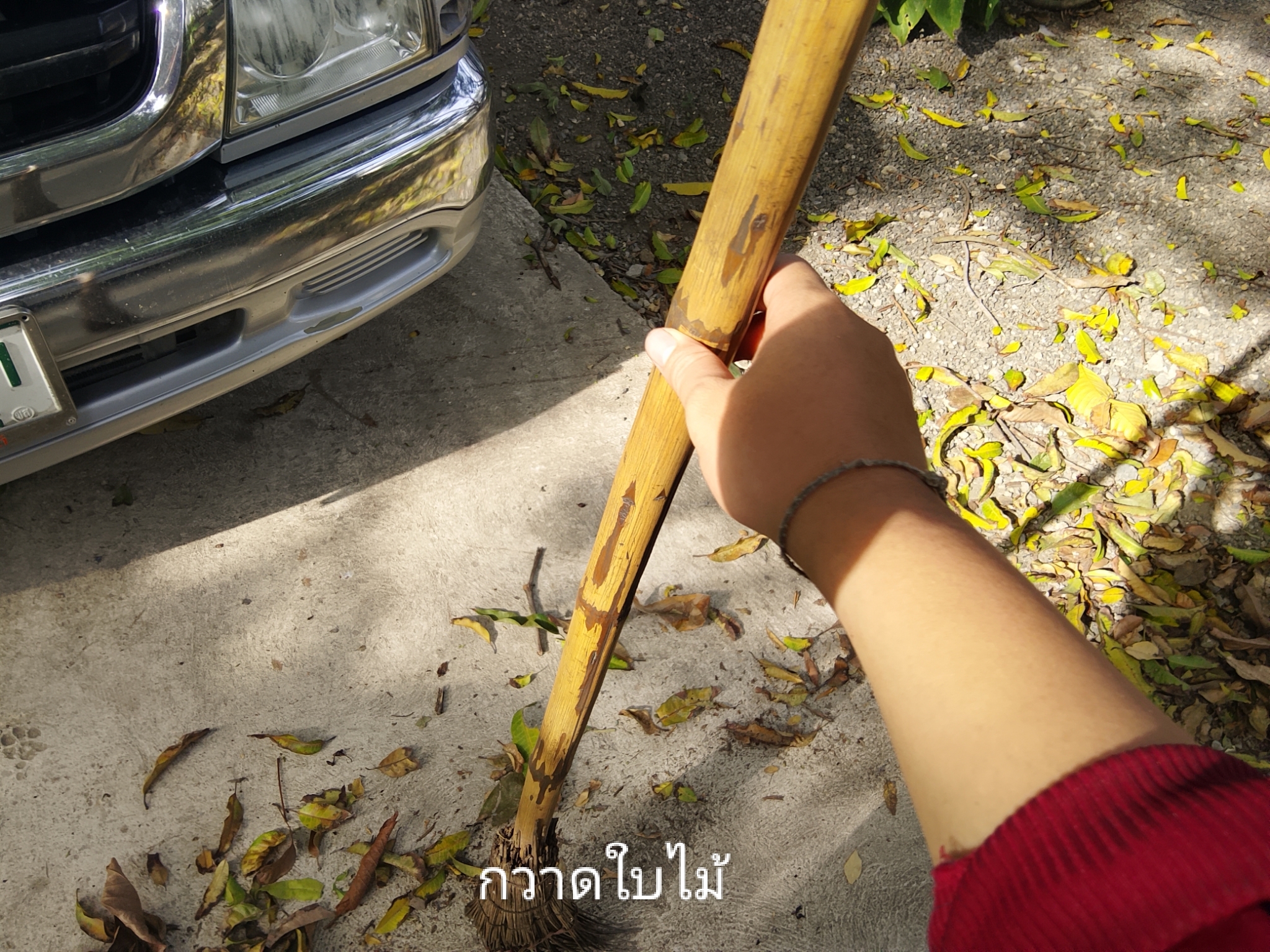 รูปภาพประกอบ 2