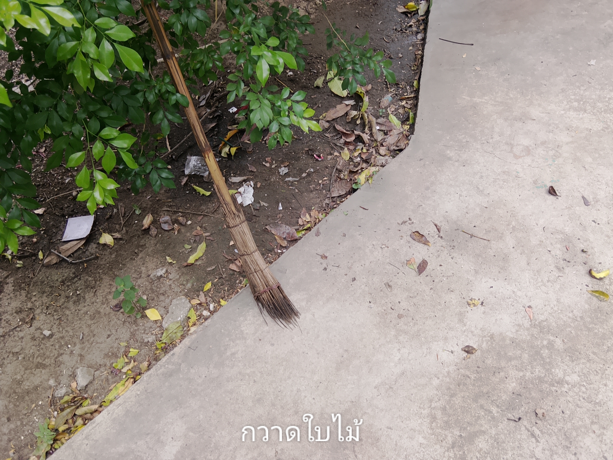 รูปภาพประกอบ 1