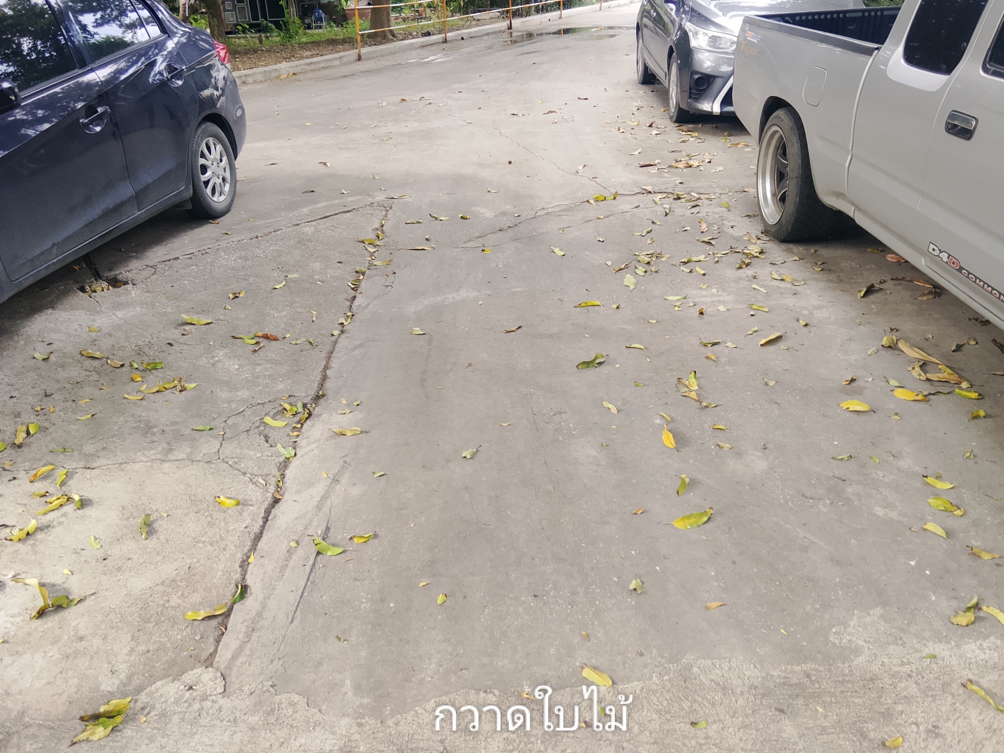 รูปภาพประกอบ 2