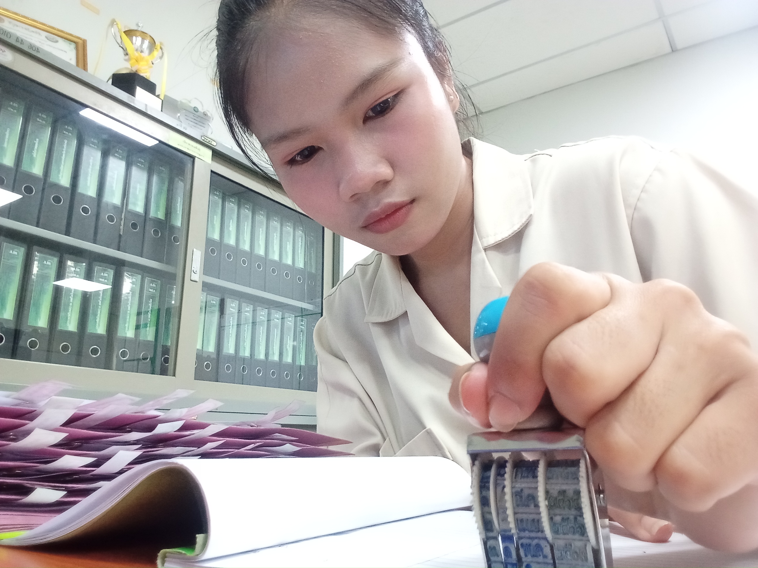 รูปภาพประกอบ 1