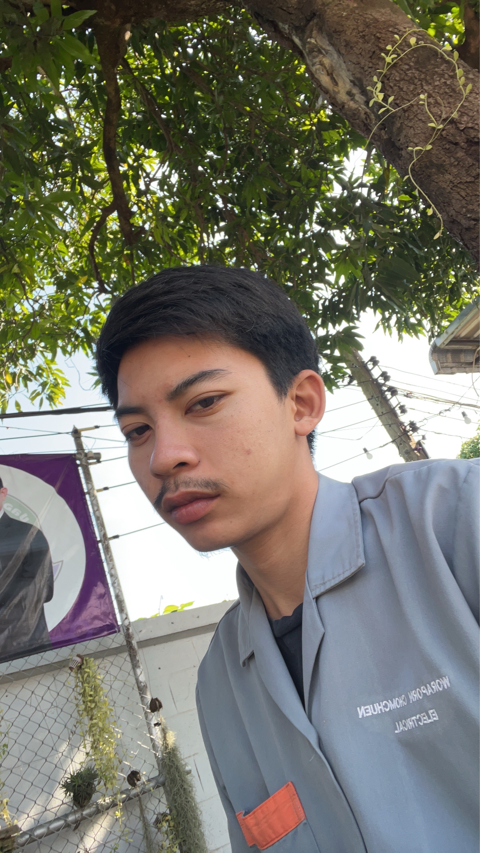 รูปภาพประกอบ 2