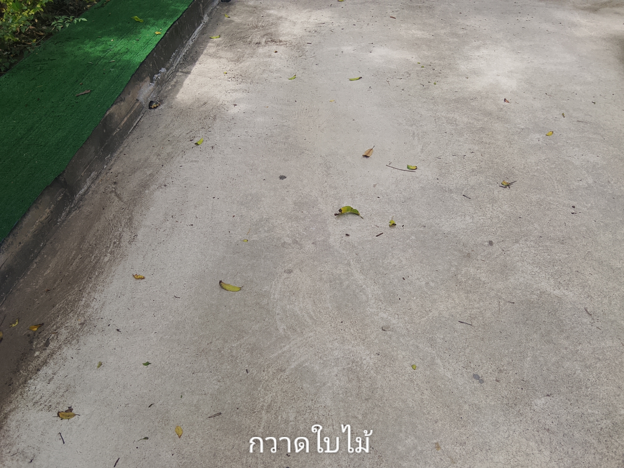 รูปภาพประกอบ 2
