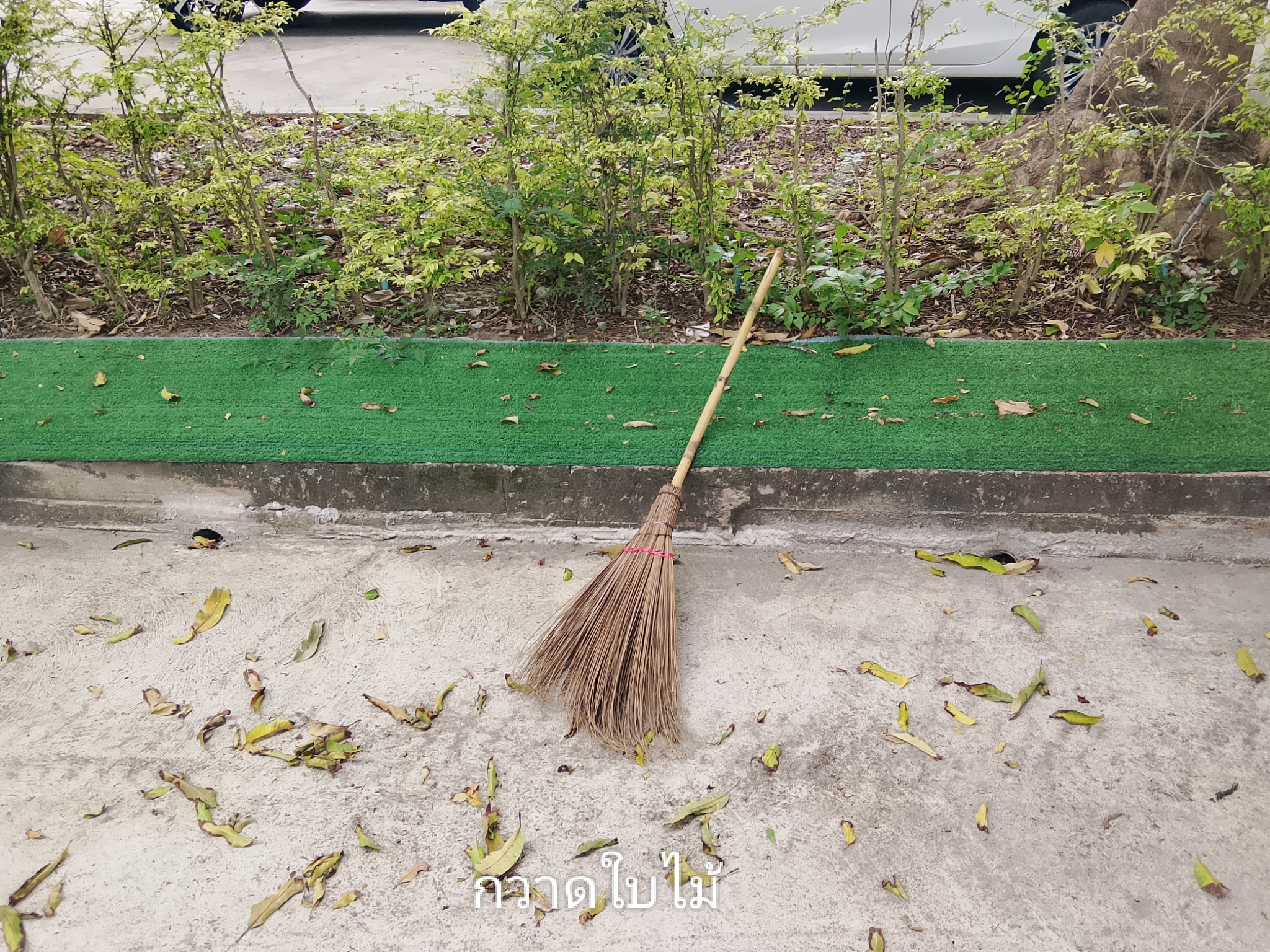 รูปภาพประกอบ 2