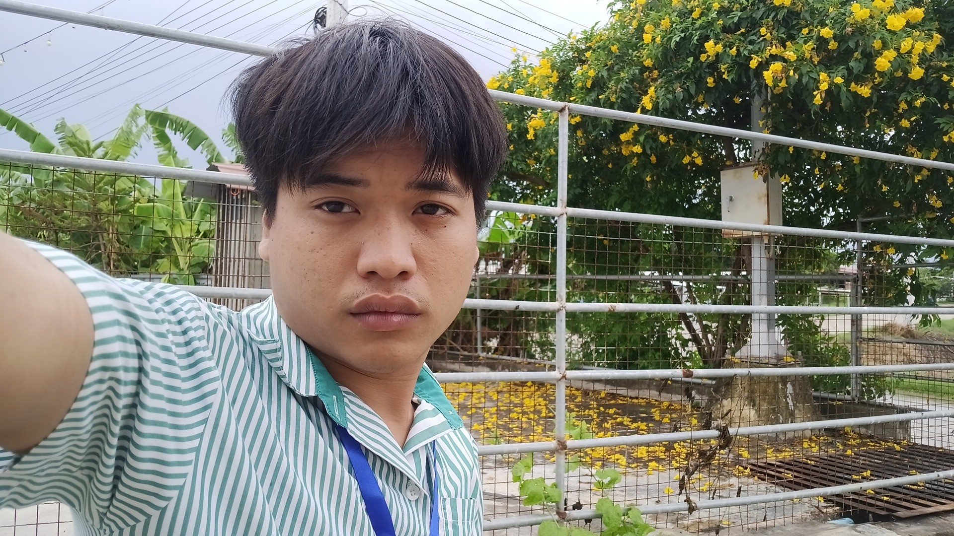รูปภาพประกอบ 2