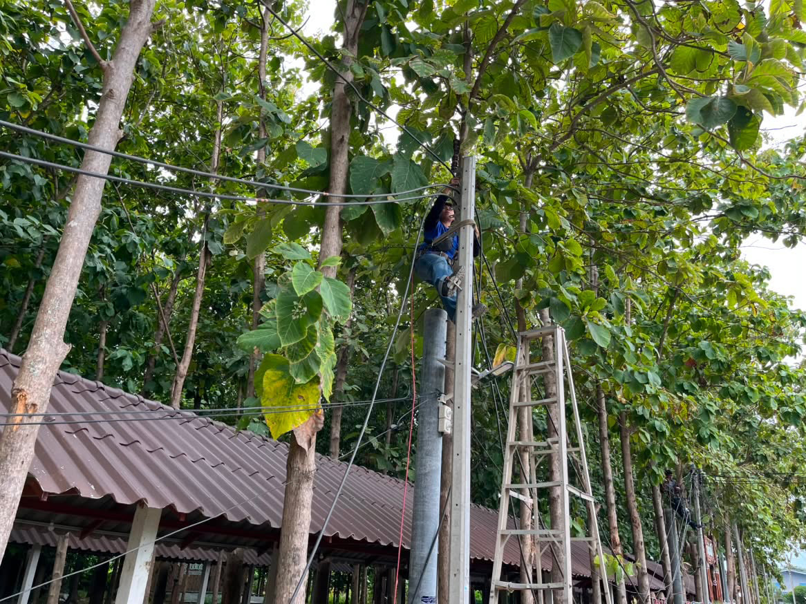 รูปภาพประกอบ 2