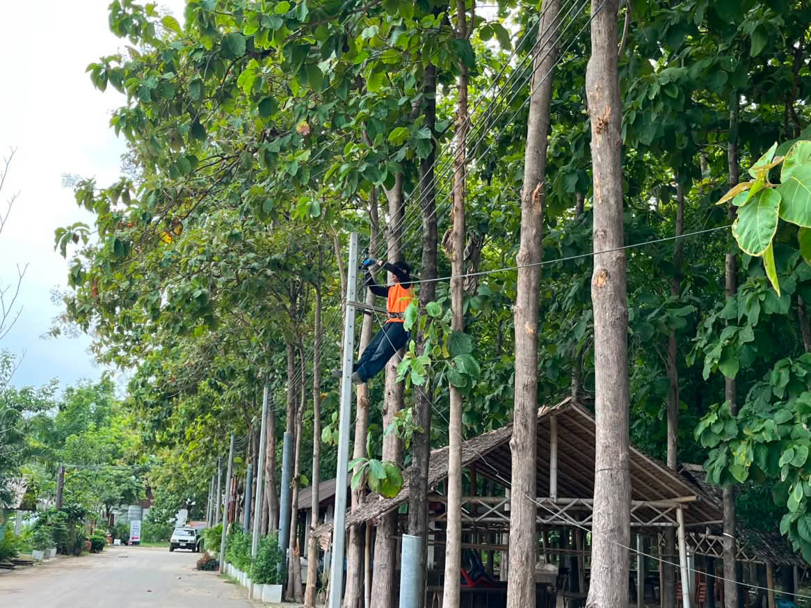 รูปภาพประกอบ 2