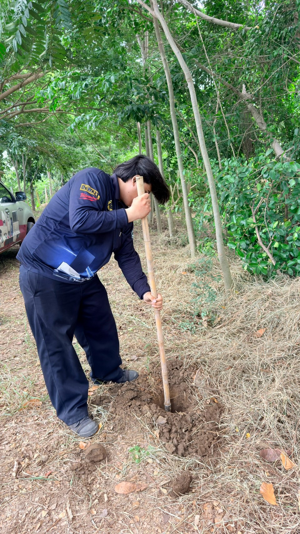 รูปภาพประกอบ 1