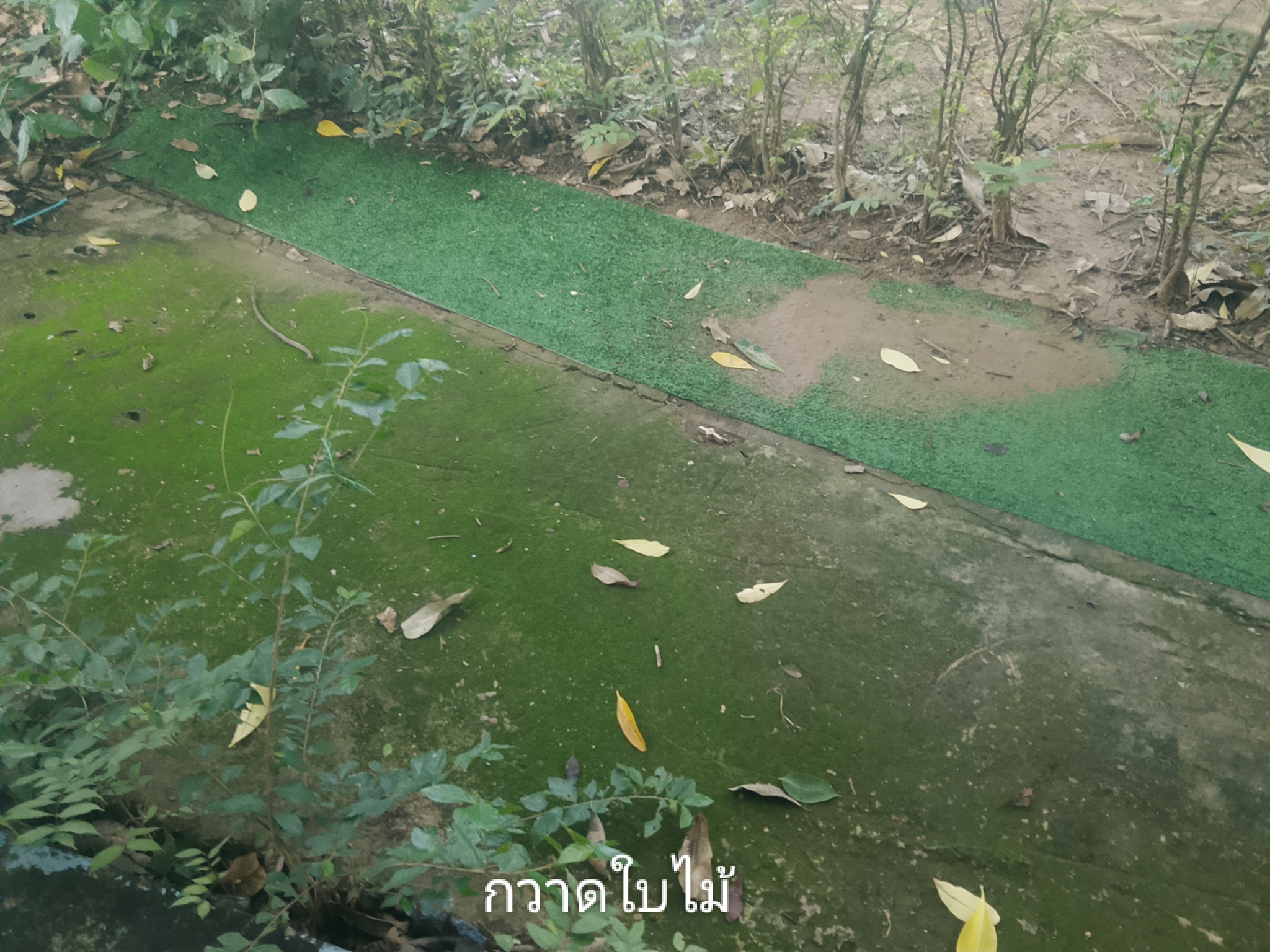รูปภาพประกอบ 1