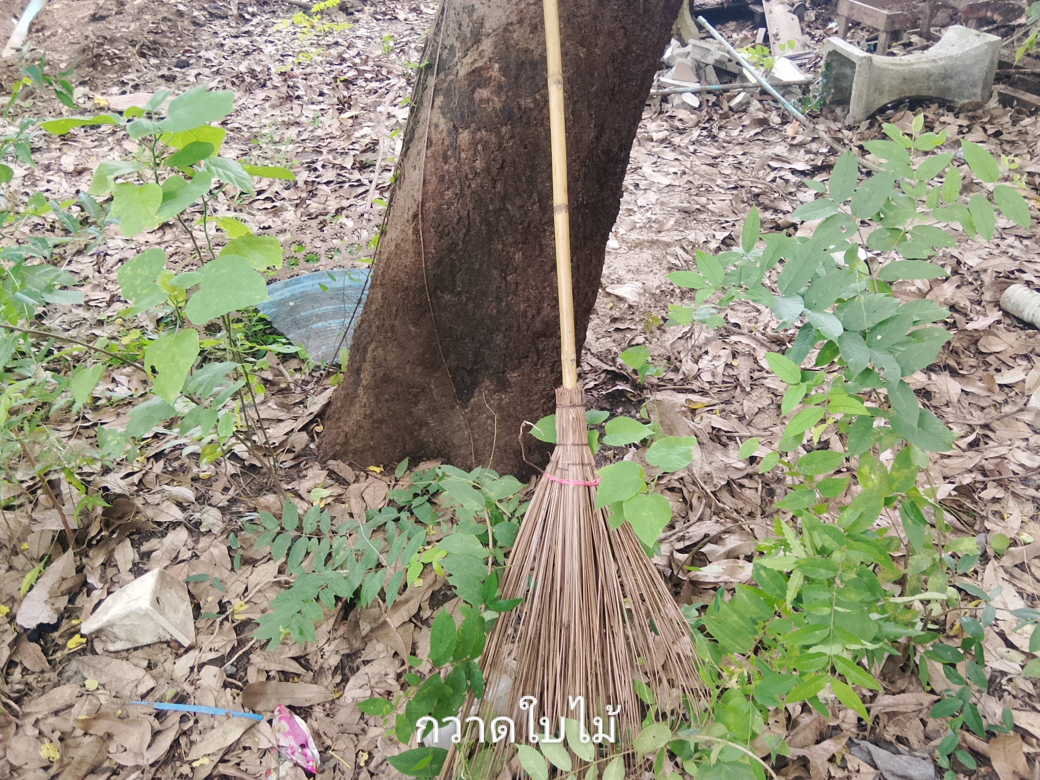 รูปภาพประกอบ 2